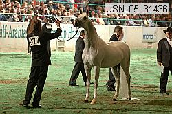 usn_05_31436 proof