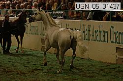 usn_05_31437 proof