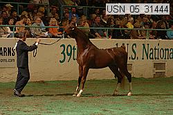 usn_05_31444 proof
