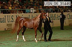 usn_05_31445 proof