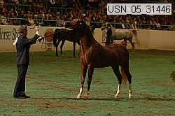 usn_05_31446 proof