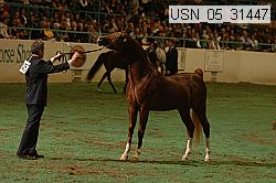 usn_05_31447 proof