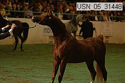 usn_05_31448 proof