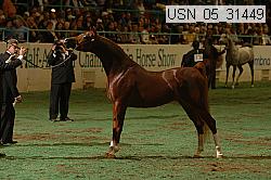 usn_05_31449 proof