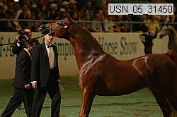 usn_05_31450 proof