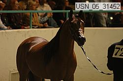usn_05_31452 proof