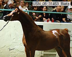 usn_05_31453_bietz proof