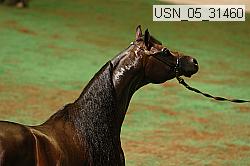 usn_05_31460 proof