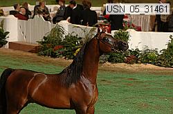 usn_05_31461 proof