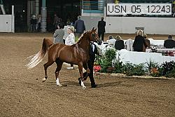 usn_05_12243 proof