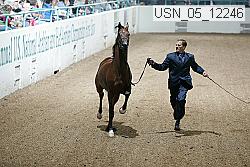 usn_05_12246 proof