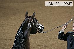 usn_05_12249 proof