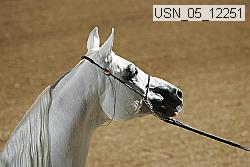 usn_05_12251 proof