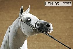 usn_05_12253 proof