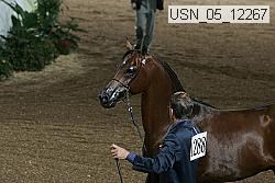 usn_05_12267 proof