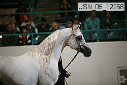 usn_05_12268 proof