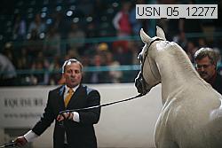 usn_05_12277 proof