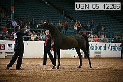 usn_05_12286 proof