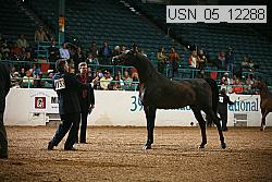 usn_05_12288 proof