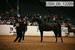 usn_05_12289 proof