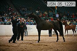usn_05_12291 proof
