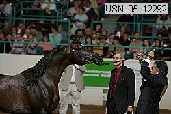 usn_05_12292 proof