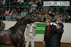 usn_05_12293 proof
