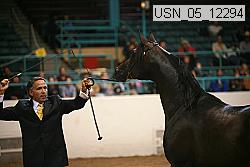 usn_05_12294 proof