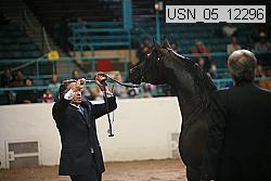 usn_05_12296 proof