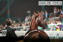 usn_05_12324 proof