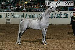 usn_05_12336 proof