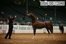 usn_05_12345 proof