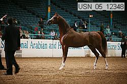 usn_05_12348 proof