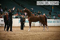 usn_05_12349 proof