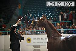 usn_05_12351 proof