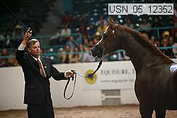 usn_05_12352 proof