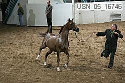 usn_05_16746 proof