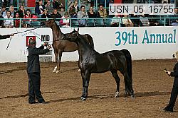 usn_05_16755 proof