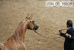 usn_05_16828 proof