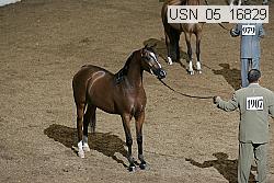 usn_05_16829 proof
