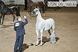 usn_05_16830 proof