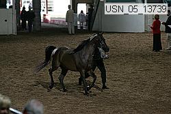 usn_05_13739 proof