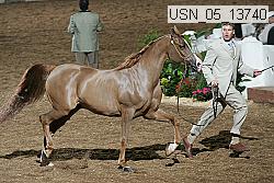 usn_05_13740 proof