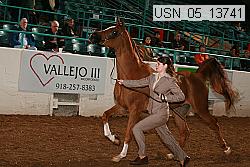 usn_05_13741 proof