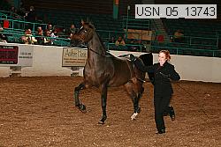 usn_05_13743 proof