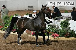 usn_05_13744 proof