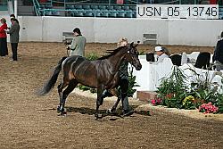 usn_05_13746 proof