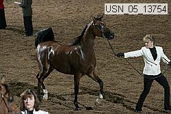 usn_05_13754 proof