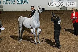 usn_05_13771 proof