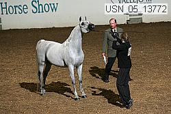 usn_05_13772 proof